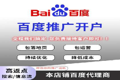 行业领先企业的SEM广告投放策略案例
